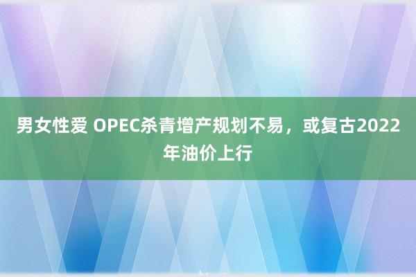 男女性爱 OPEC杀青增产规划不易，或复古2022年油价上行
