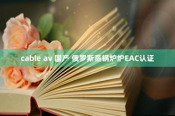 cable av 国产 俄罗斯蒸锅炉炉EAC认证