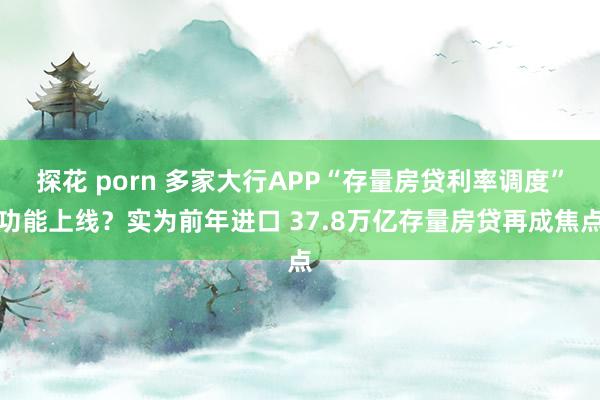 探花 porn 多家大行APP“存量房贷利率调度”功能上线？实为前年进口 37.8万亿存量房贷再成焦点