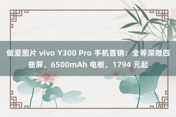 做爱图片 vivo Y300 Pro 手机首销：全等深微四曲屏、6500mAh 电板，1794 元起