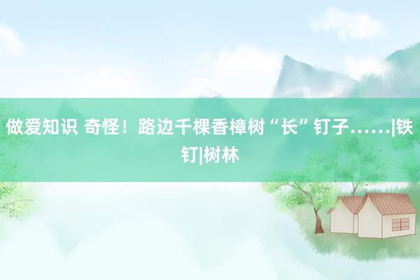 做爱知识 奇怪！路边千棵香樟树“长”钉子……|铁钉|树林